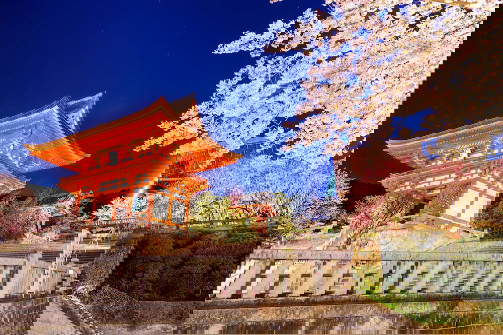 Hotel Hotel Cocode Plus