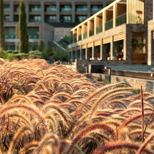 Hotel Lujo Hotel Art &Joy cazare Bodrum