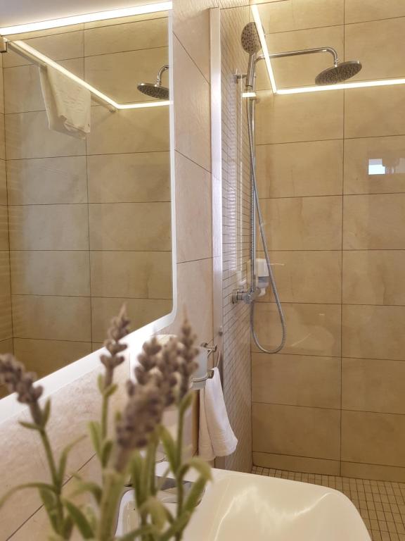Vila Ducu - Adults Only (+16)