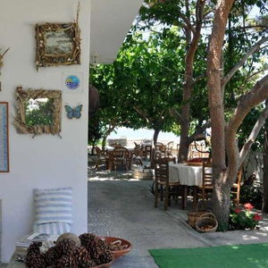 Sejur Petrino vacanta Naxos