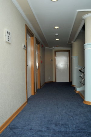 Hotel Lion City Hotel Ankara cazare Ankara