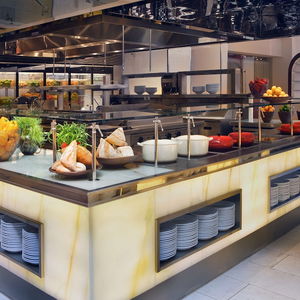 Hotel Hyatt Regency O'Hare Chicago cazare Chicago