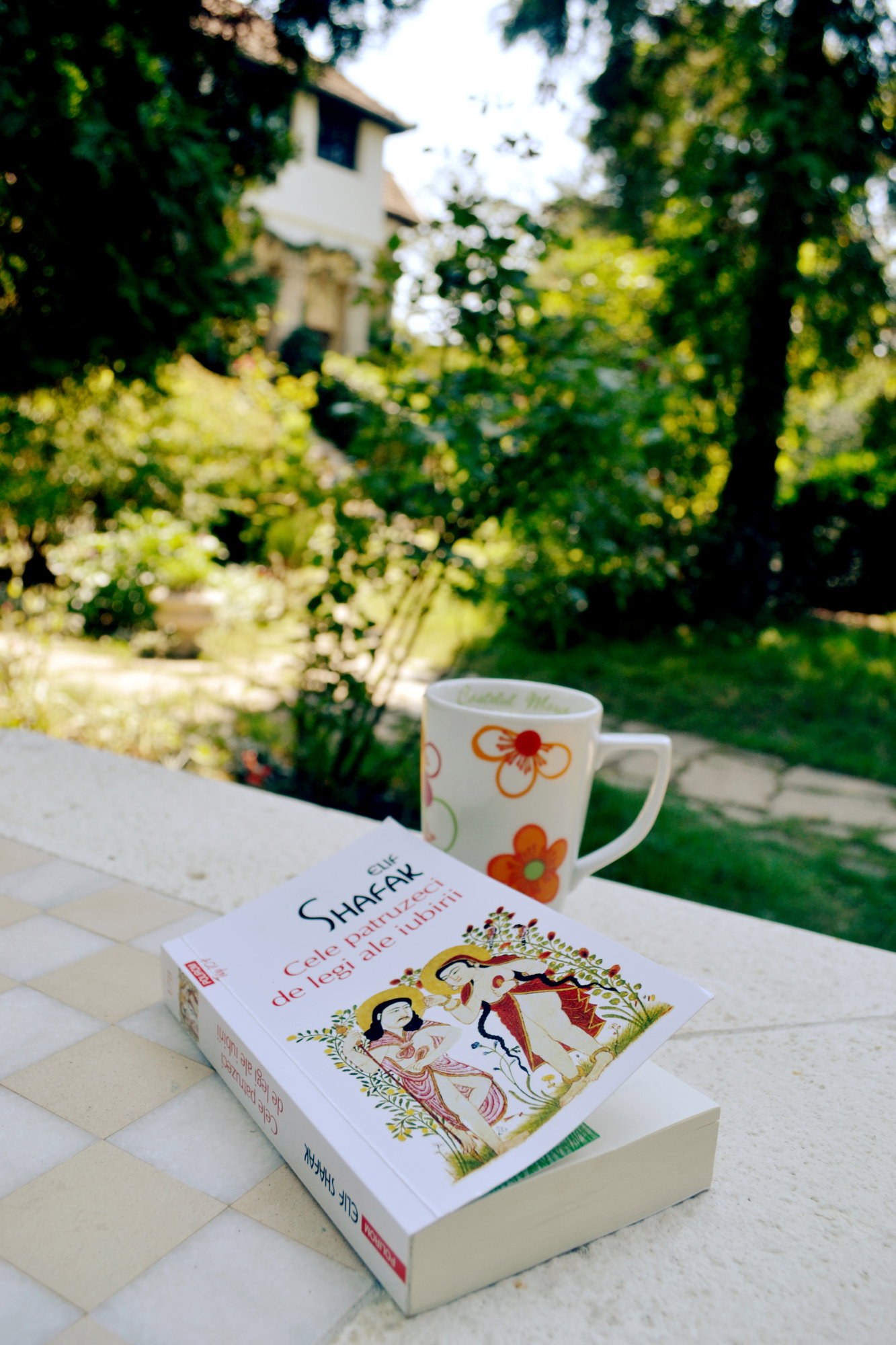 Castelul Maria