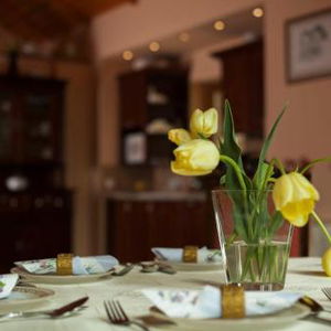 Hotel Ludo Apartman Hotel & Spa cazare Mako