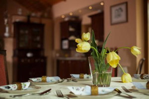 Hotel Ludo Apartman Hotel & Spa cazare Mako