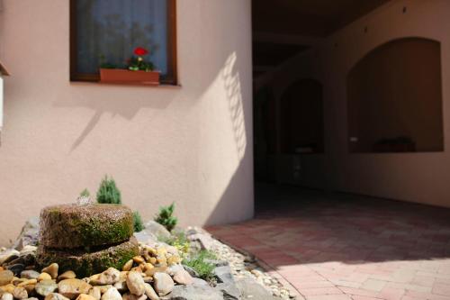 Ludo Apartman Hotel & Spa