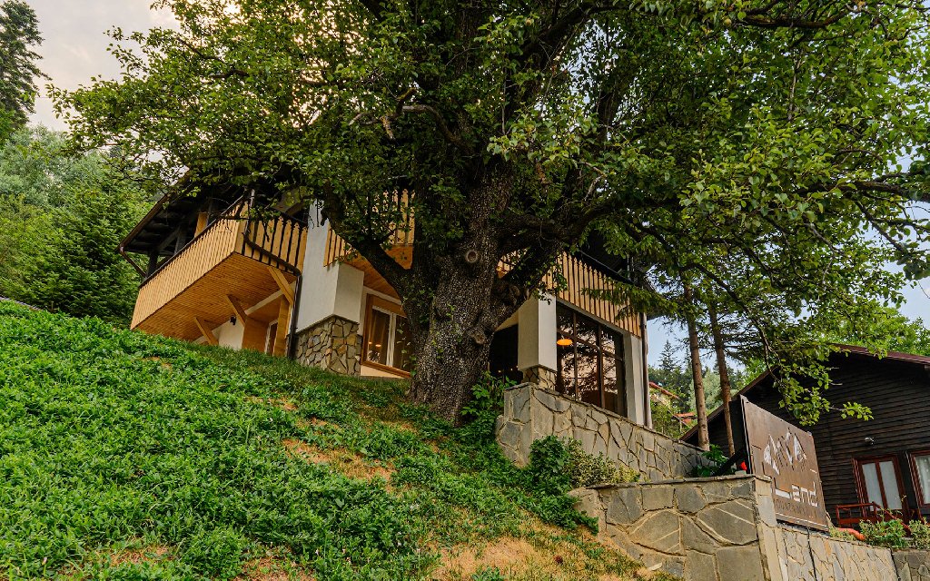 Blend Mountain Villa