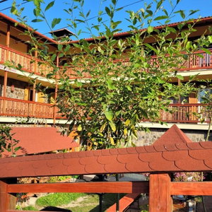 Hotel Natura Tusnad cazare Baile Tusnad