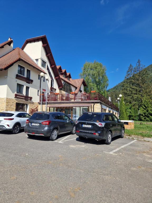 Villa Pinul Si Mesteacanul