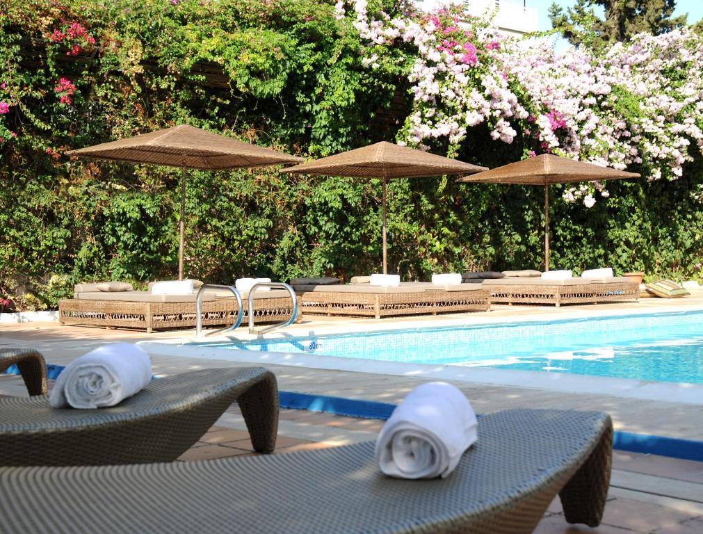 dal travel Congo Palace Hotel