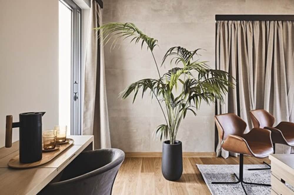 Cama Luxury Suites