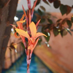 Hotel B&B Domus Atilia cazare Sagunto