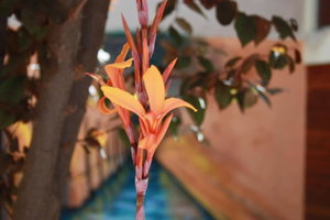 Hotel B&B Domus Atilia cazare Sagunto
