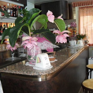 Hotel Hotel Zani cazare Cervia