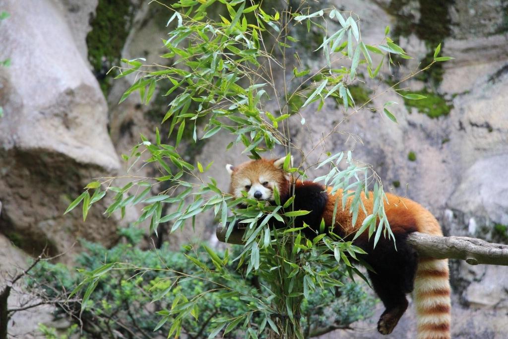 Hotel Design Hotel Blax