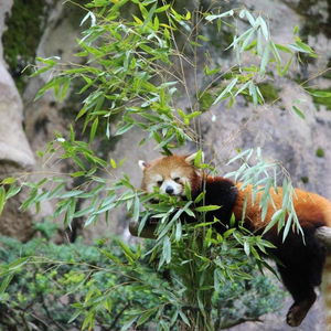 Hotel Design Hotel Blax cazare Hachioji