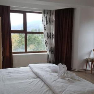 Hotel Pensiunea Alexandra cazare Predeal