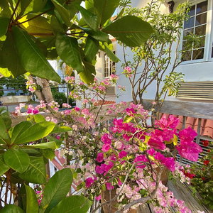 Hotel At Wind Chimes Boutique Hotel cazare San Juan