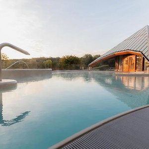 Hotel Thermae 2000 cazare Valkenburg