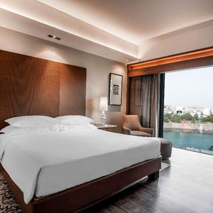 Hotel Hyatt Ahmedabad cazare Ahmedabad