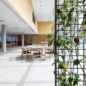 Hotel Noa Boutique Hotel cazare Oleiros