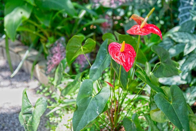 Hotel Pousada Aguas Claras