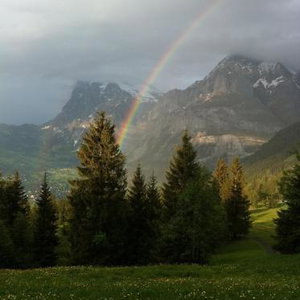 Hotel Ferienwohnung Im Grünen cazare Grindelwald