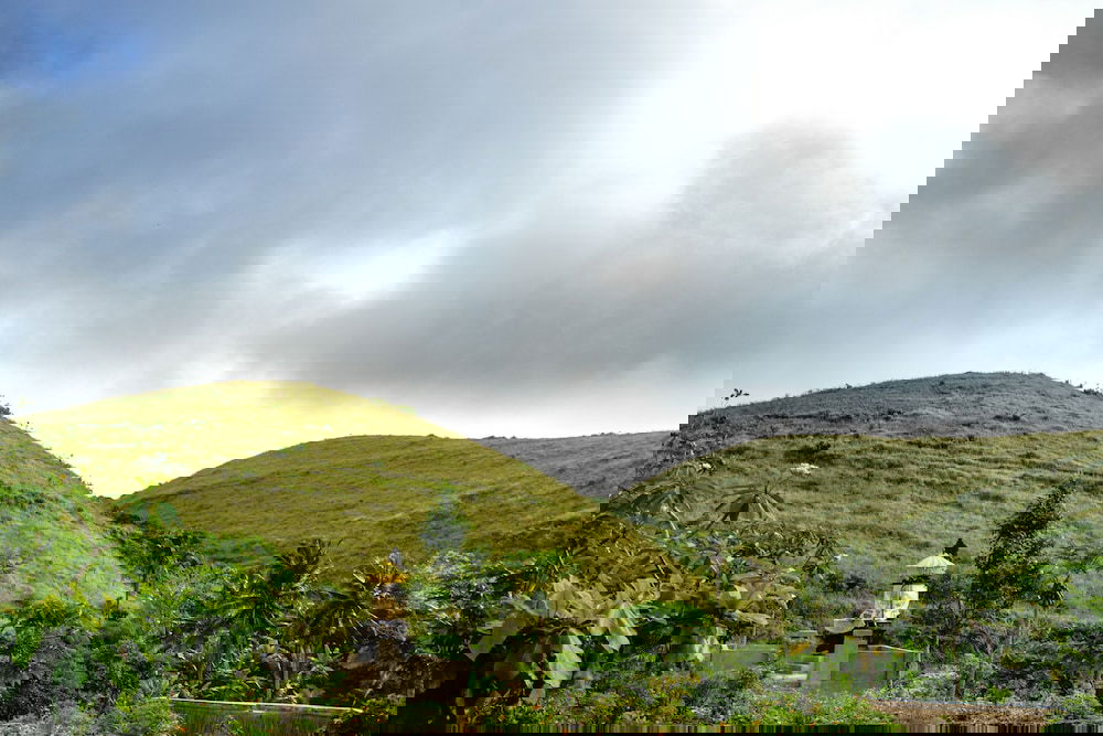 Hotel Pini Sentana Village