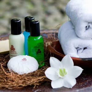 Sejur Barong Resort And Spa vacanta Ubud