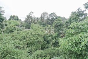 Hotel Giri Krisna Guest House cazare Ubud
