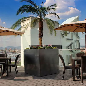 Hotel Hotel Real Alameda De Queretaro cazare Santiago de Queretaro