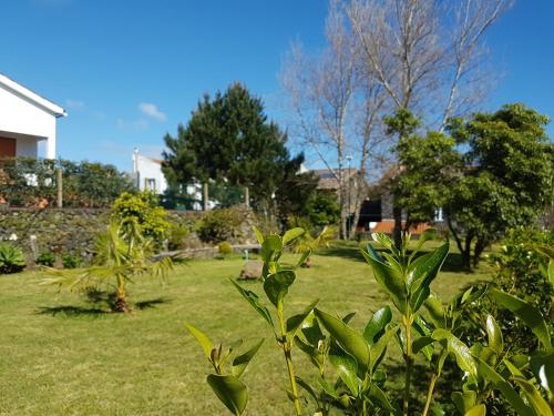 Hotel Stonewood Lodge