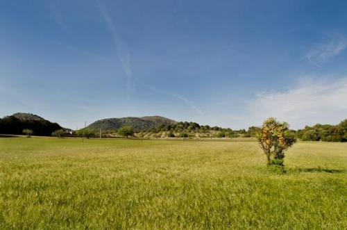 dal travel Agroturisme S' Horta