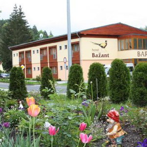 Hotel Hotel Bazant cazare Karlovy Vary