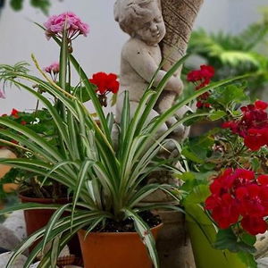 Hotel El Barrio cazare Nerja