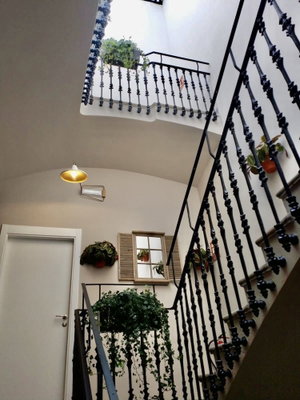 Hotel Birdhouse Valencia cazare Valencia