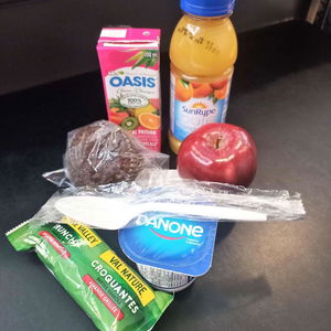 Hotel Best Western Plus Village Park Inn cazare Calgary