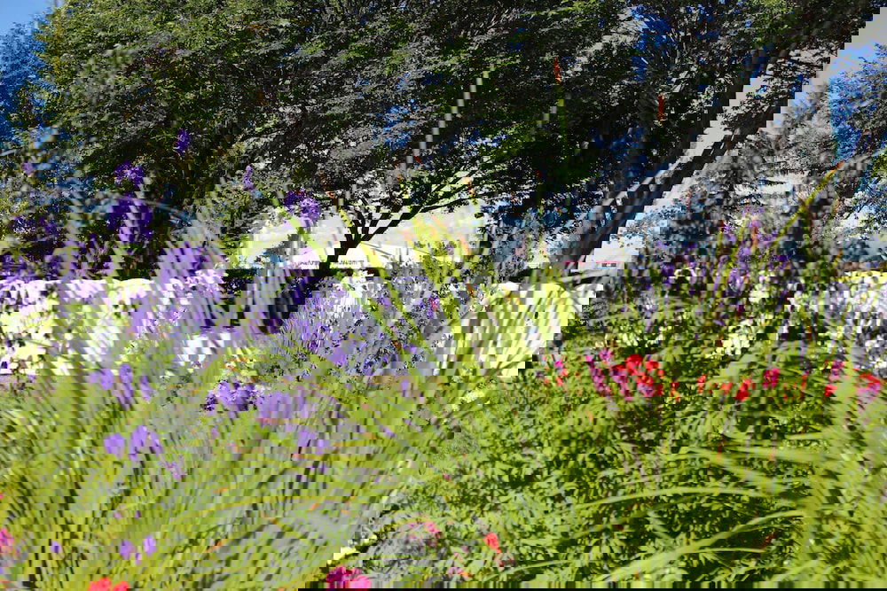 Hotel Best Western Plus Port O'Call Hotel