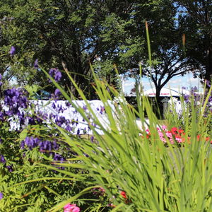 Hotel Best Western Plus Port O'Call Hotel cazare Calgary