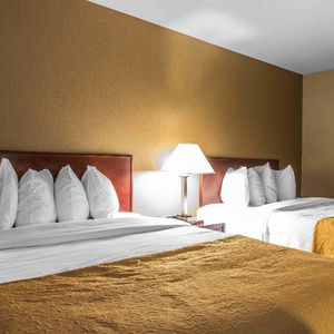 Hotel Ramada Plaza By Wyndham Montreal cazare Montreal