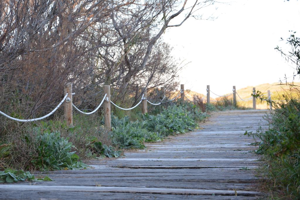 You & Co. Saler Beach Boutique