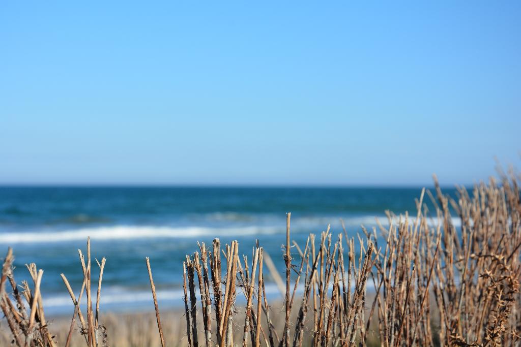You & Co. Saler Beach Boutique