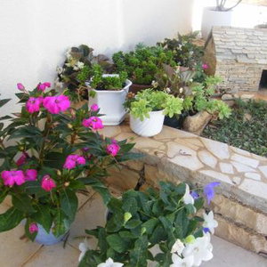 Hotel Apartments Maslina cazare Korcula