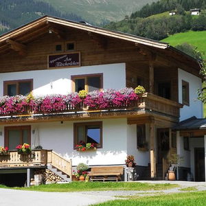 Hotel Appartement 'Am Tatscherlehen' cazare Piesendorf