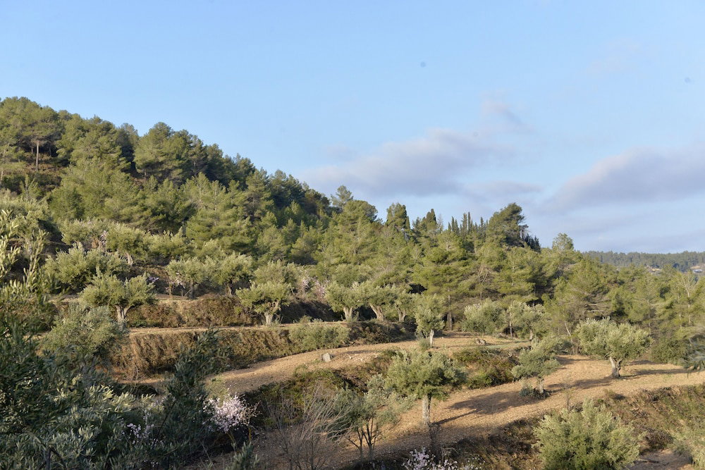 Masia La Mota