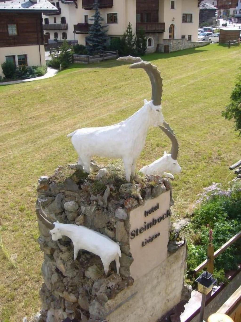 Hotel Steinbock