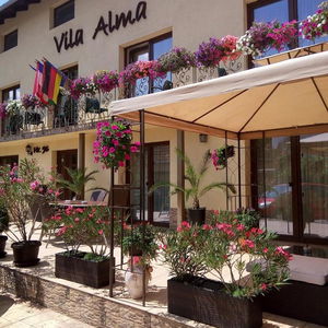 Hotel Vila Alma cazare Baile Felix