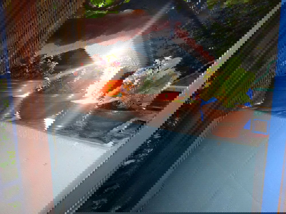 Hotel Artemis Studios & Apartments