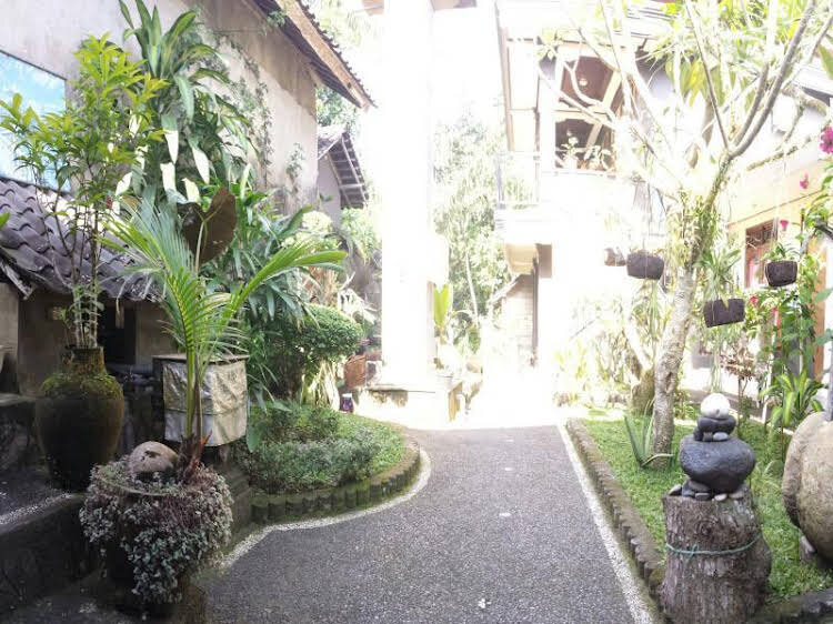 Pancer House