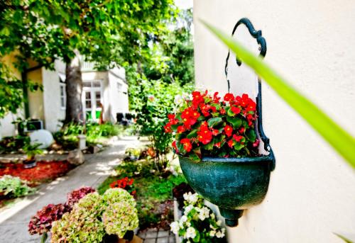 Hotel Pension Margit